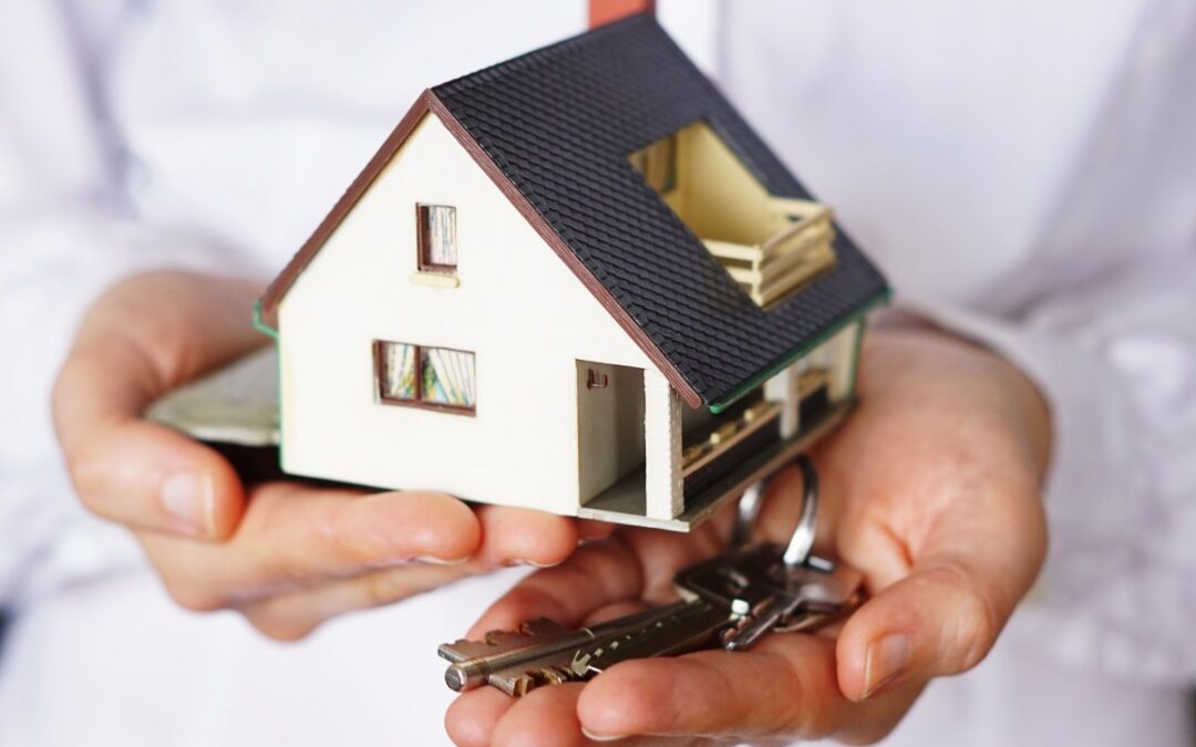 CÓMO ELEGIR LA UBICACIÓN PERFECTA PARA TU CASA
