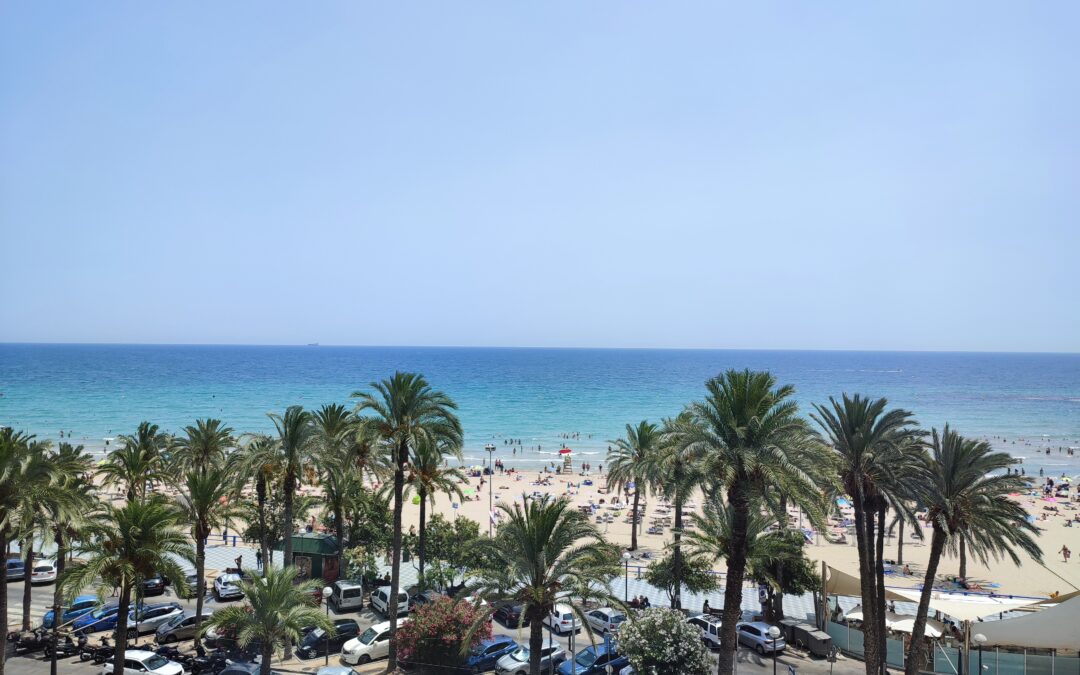 SI ACABAS DE LLEGAR A LA COSTA BLANCA